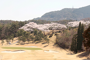 朝の風景